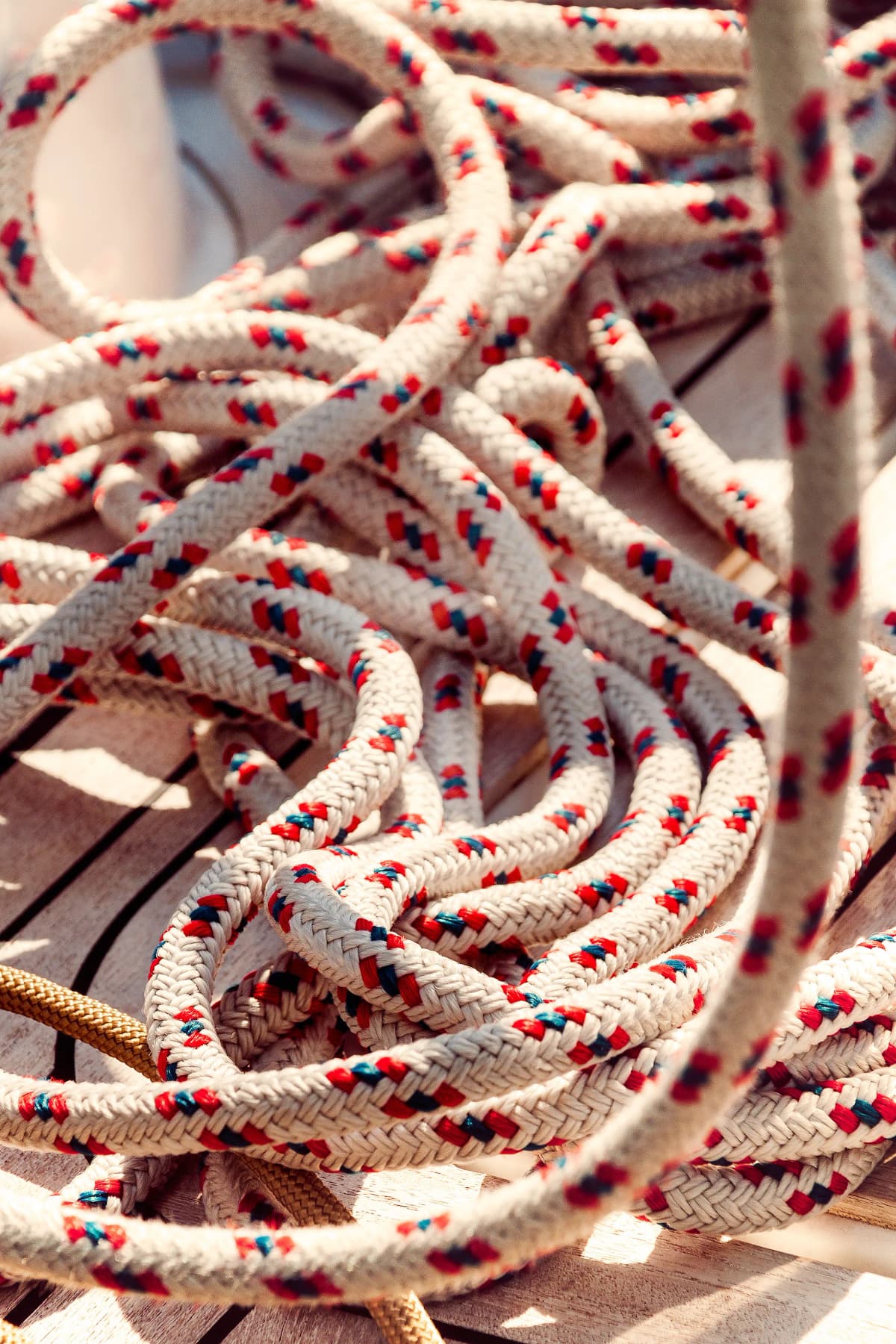 Photo by Madlene Mitter