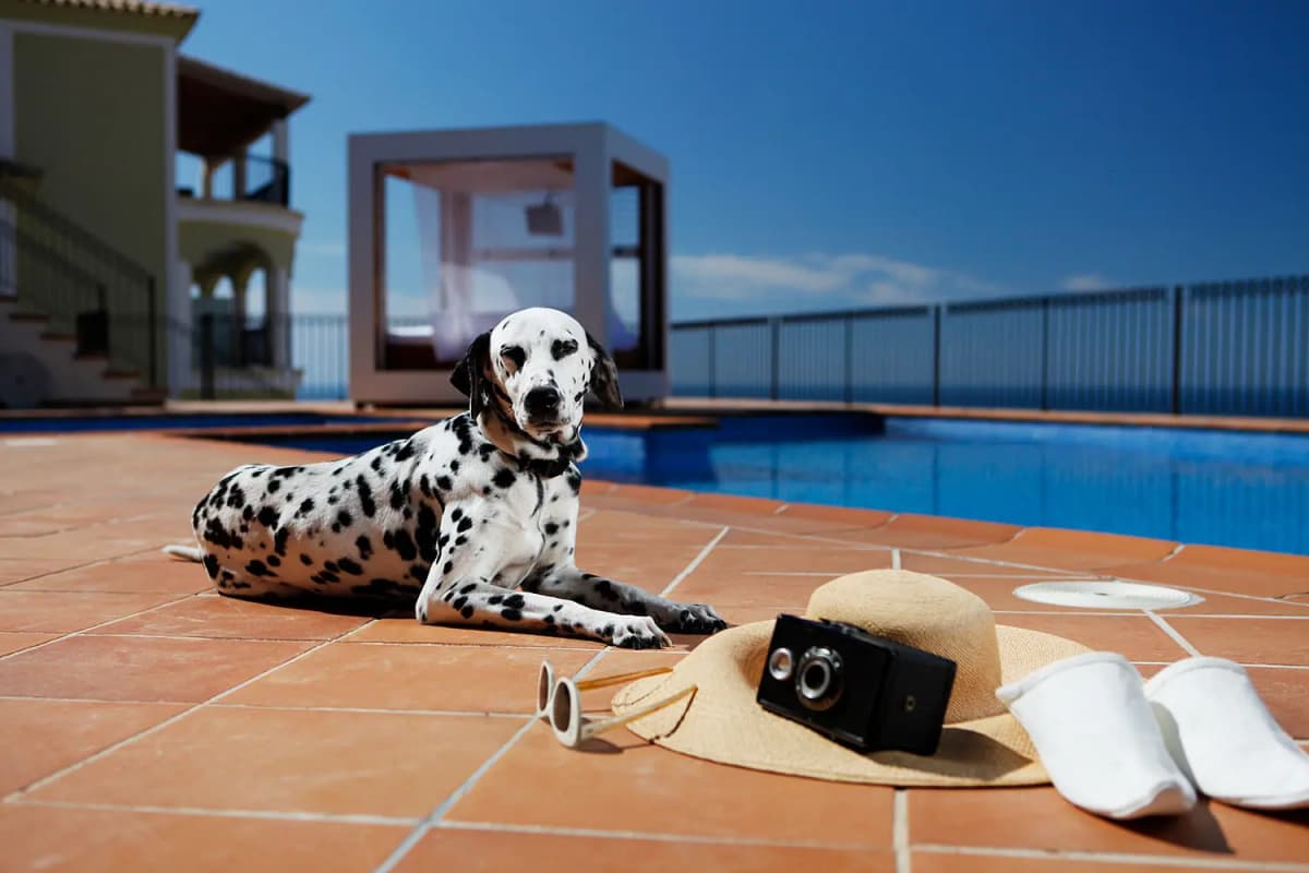 Photo by Roman Stöppler