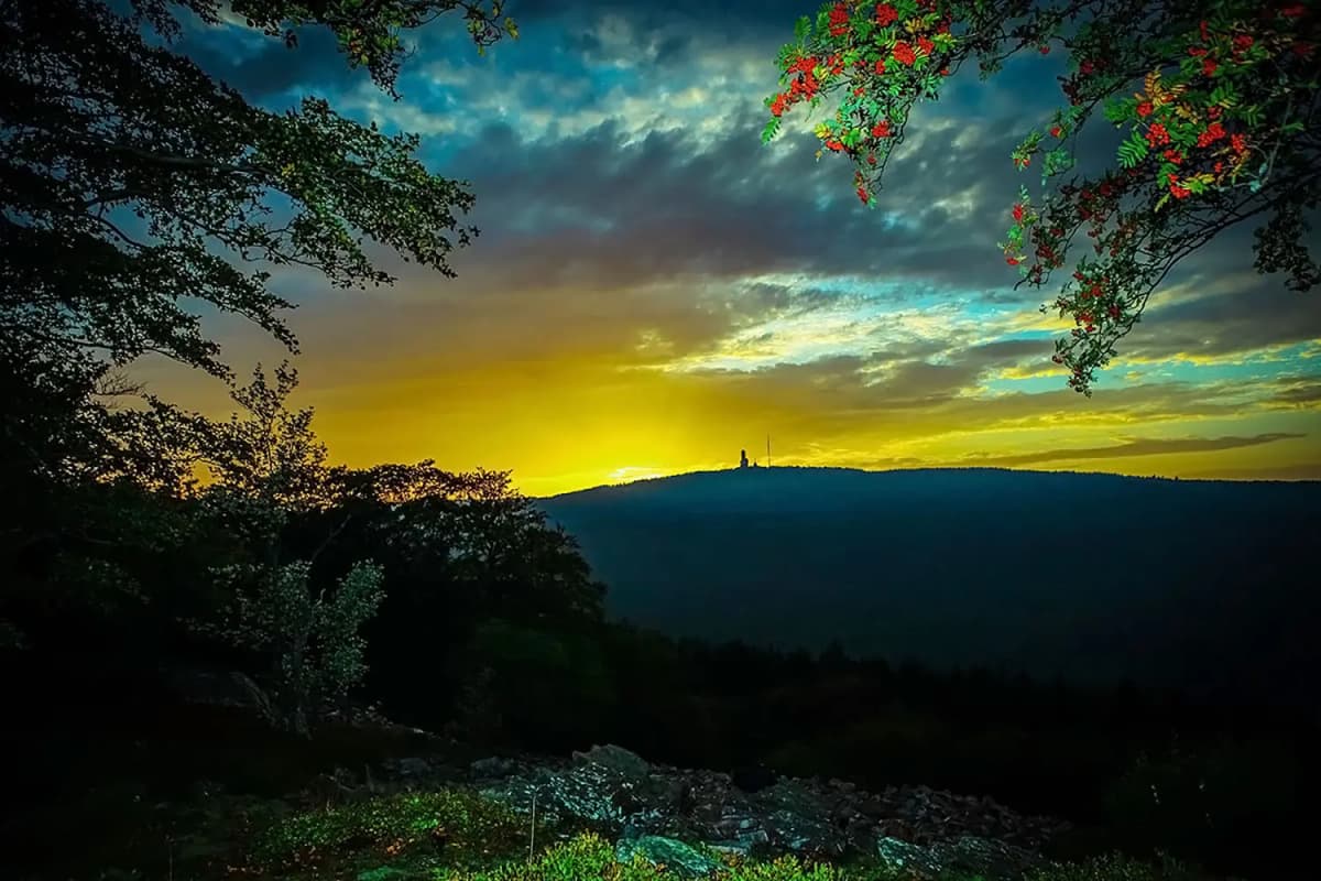 Photo by Roman Stöppler