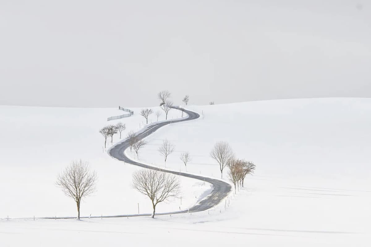 Photo by Roman Stöppler