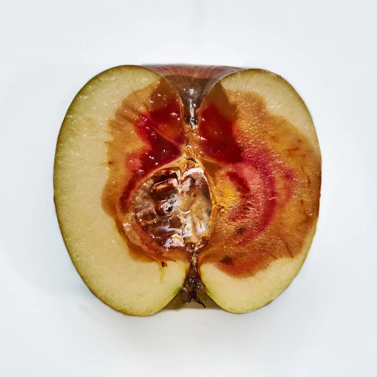 Photo by Roman Stöppler