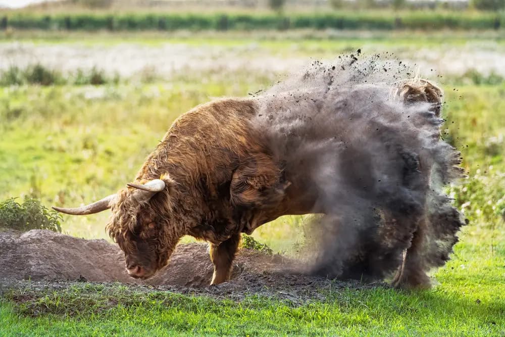 Photo by Gianmarco Cicuzza