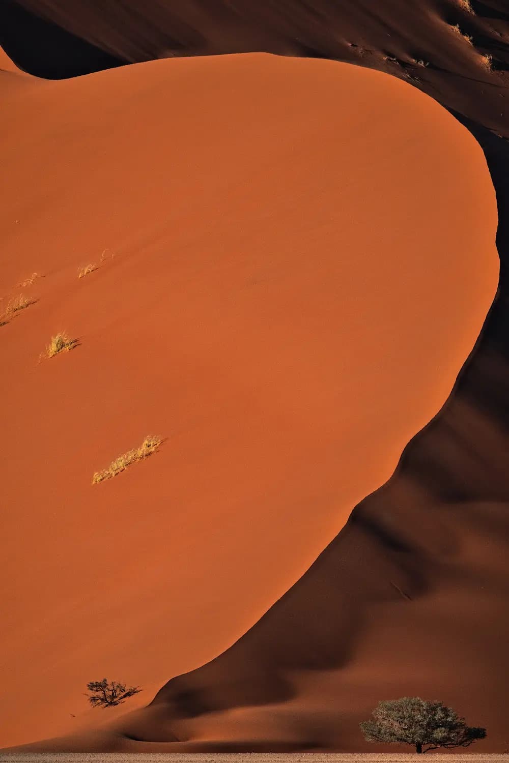 Photo by Gianmarco Cicuzza