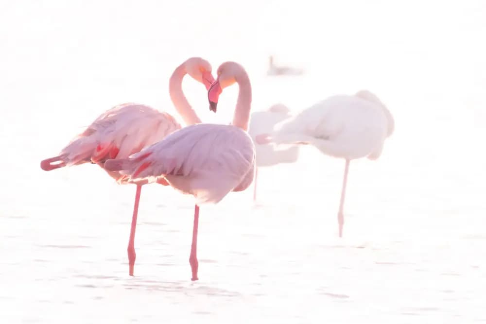 Photo by Gianmarco Cicuzza