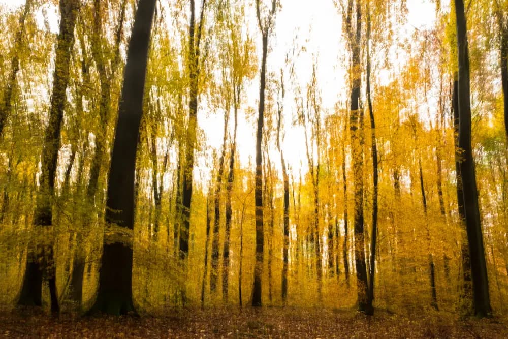 Photo by Gianmarco Cicuzza