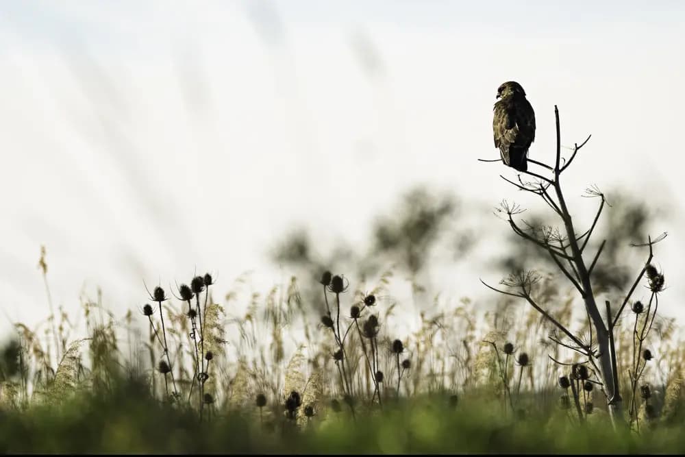 Photo by Gianmarco Cicuzza