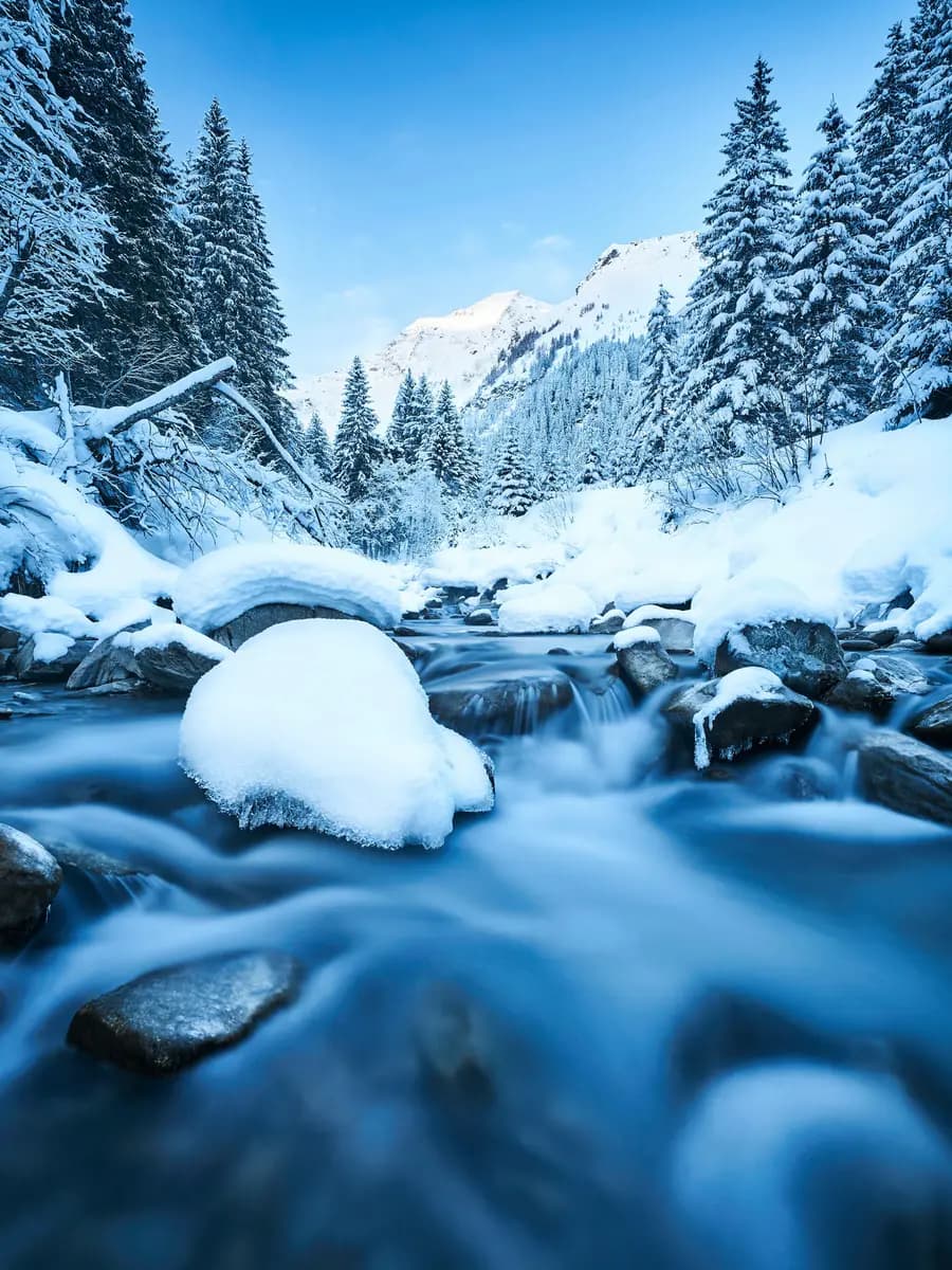 Photo by Sebastian Grundgeir