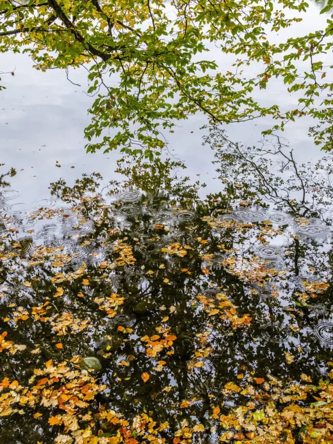 Photo by Silvano Pedrett