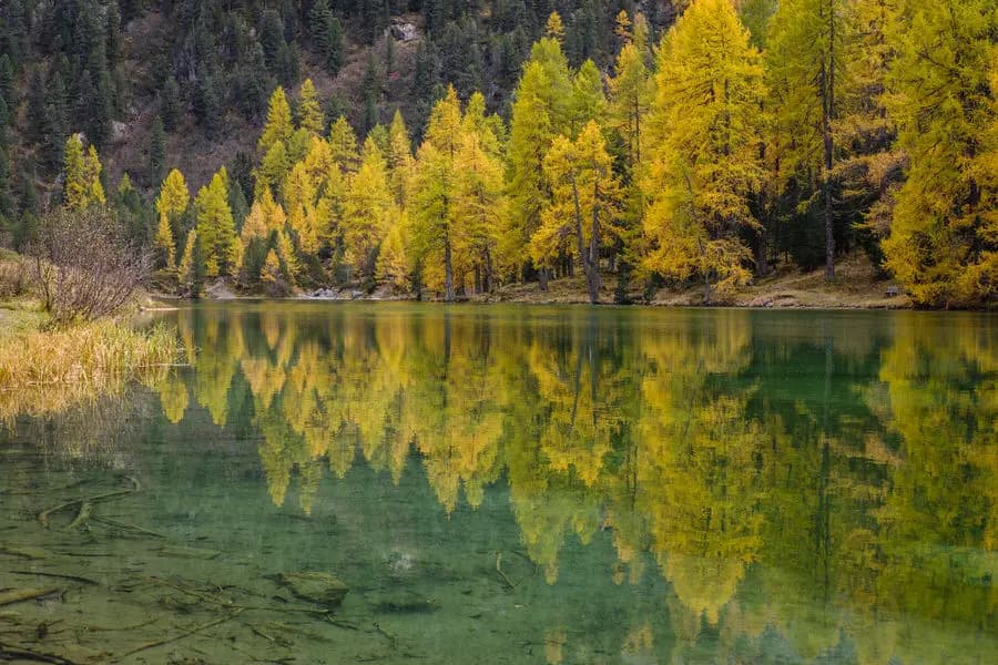 Photo by Silvano Pedrett