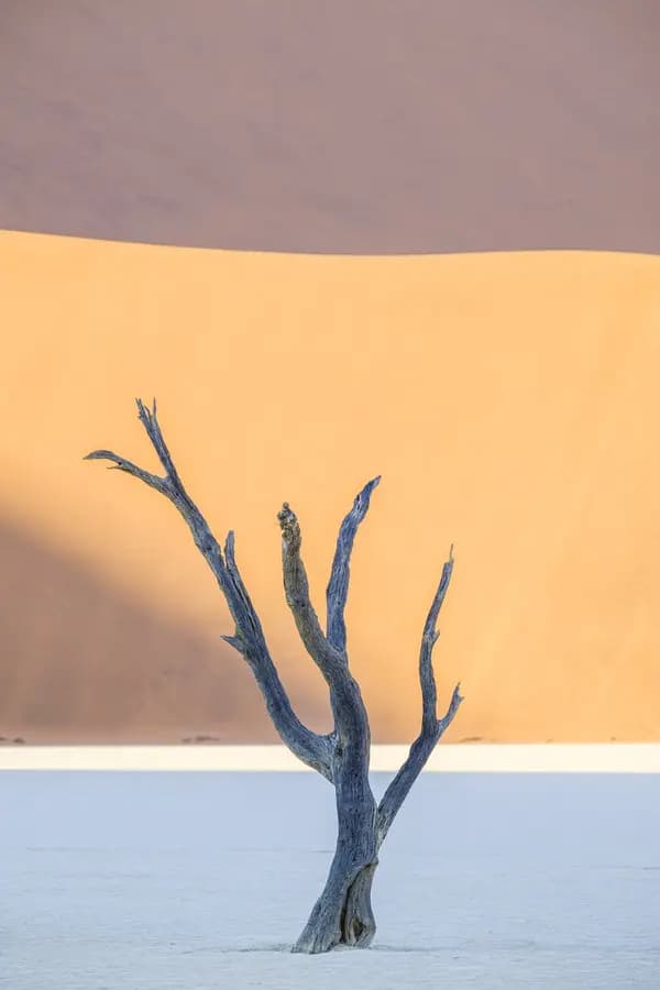 Photo by Silvano Pedrett