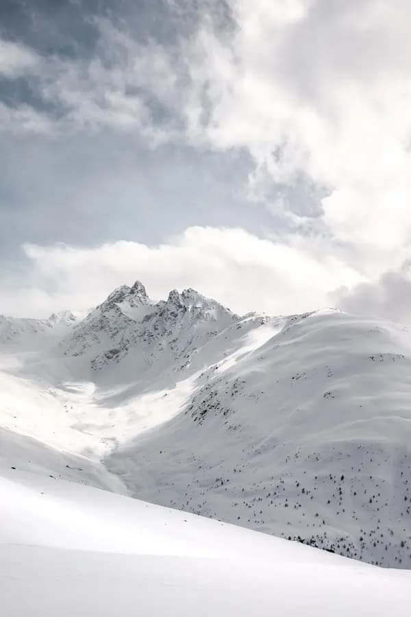 Photo by Silvano Pedrett