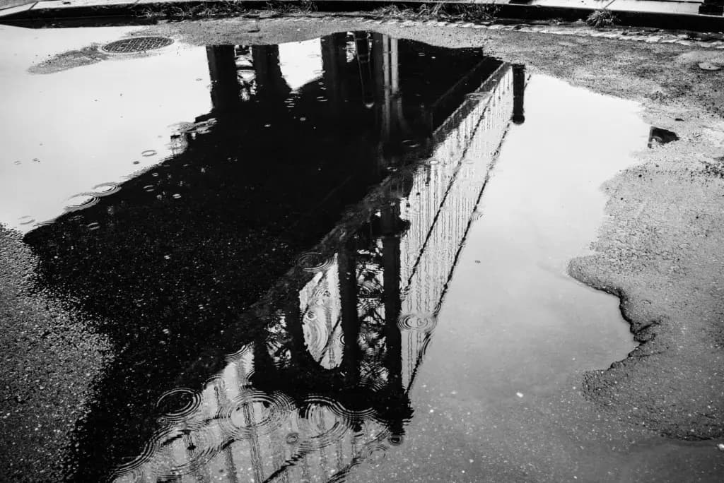 Photo by Thomas Halfmann