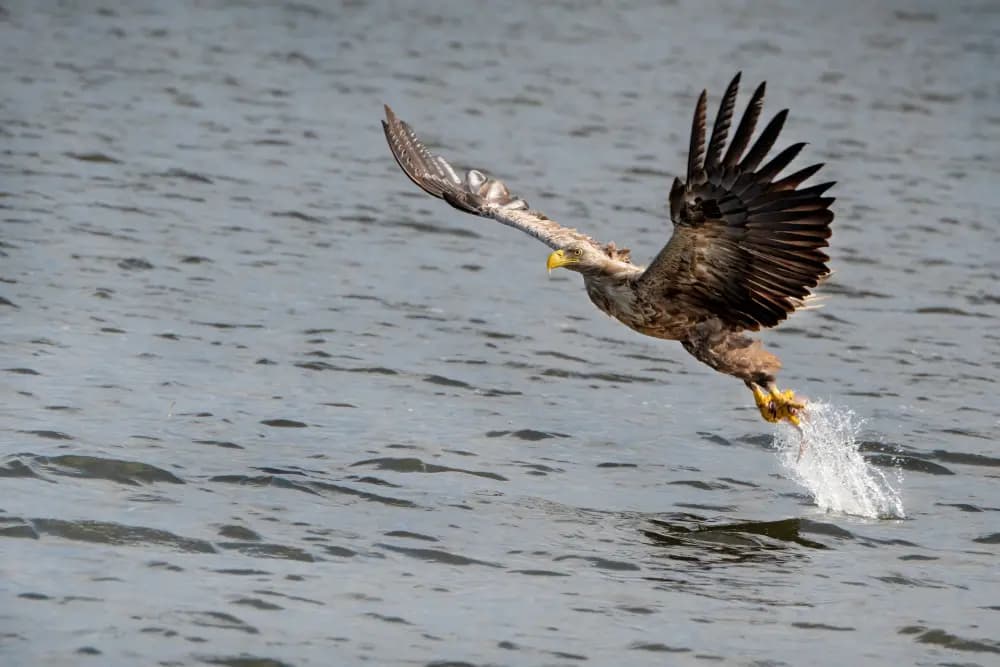 Photo by Gianmarco Cicuzza