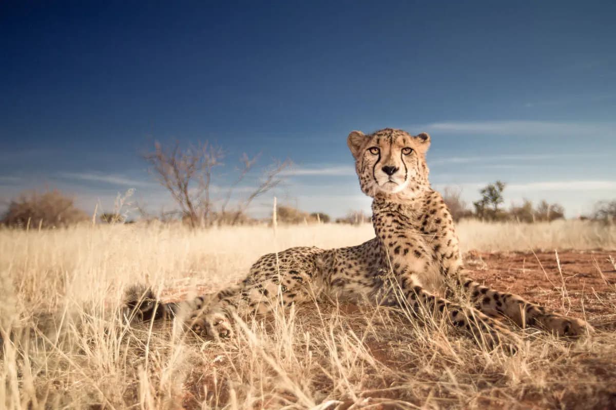 Photo by Julia Wimmerlin