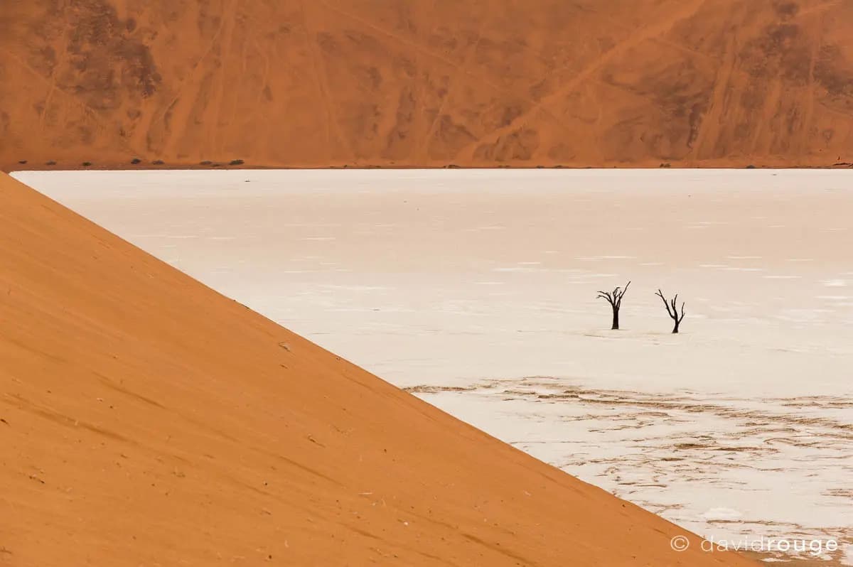 Photo by David Rouge