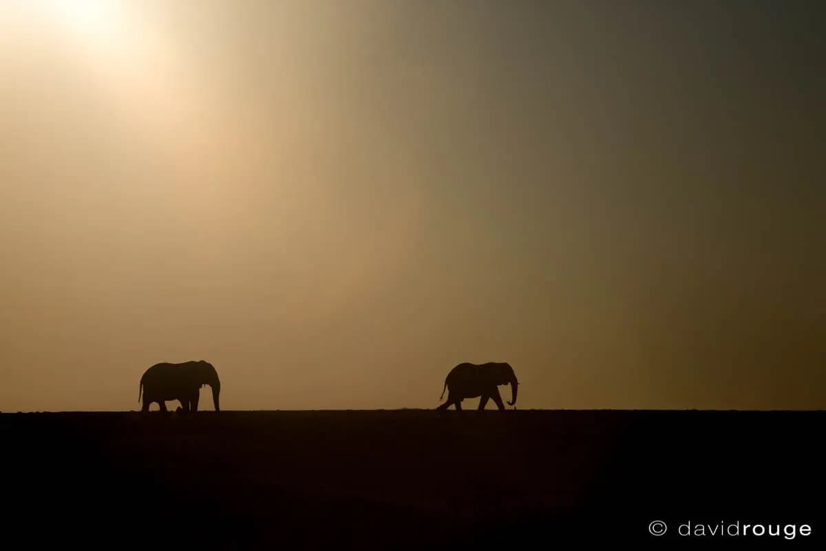 Photo by David Rouge