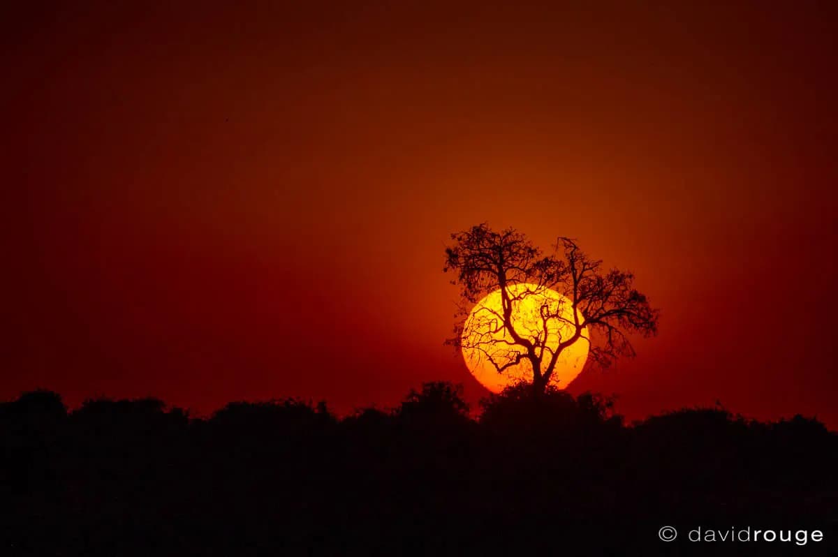 Photo by David Rouge