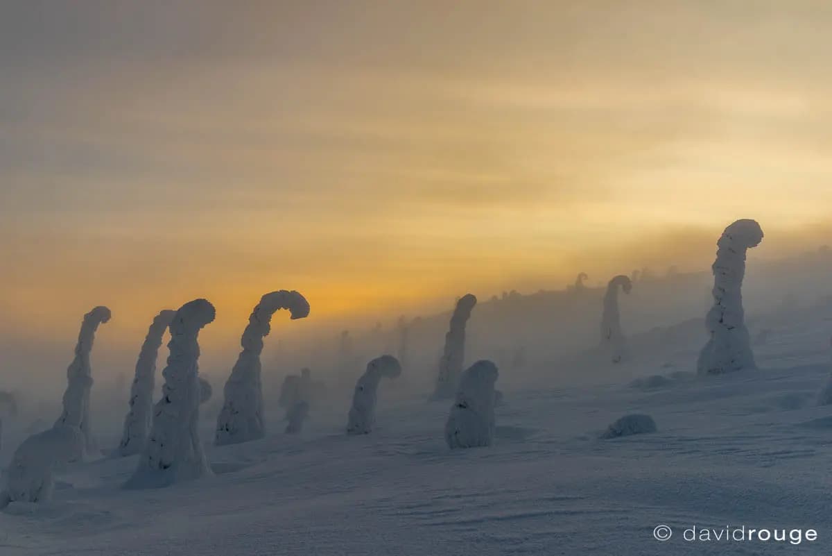 Photo by David Rouge