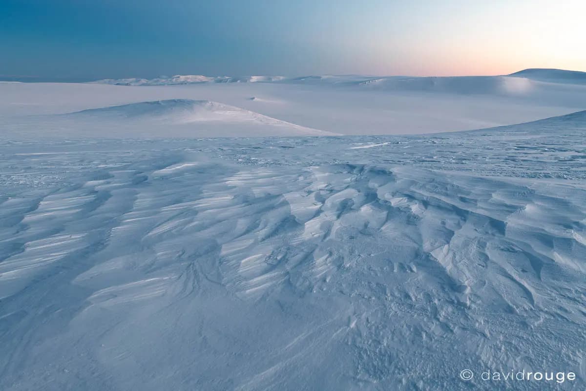 Photo by David Rouge