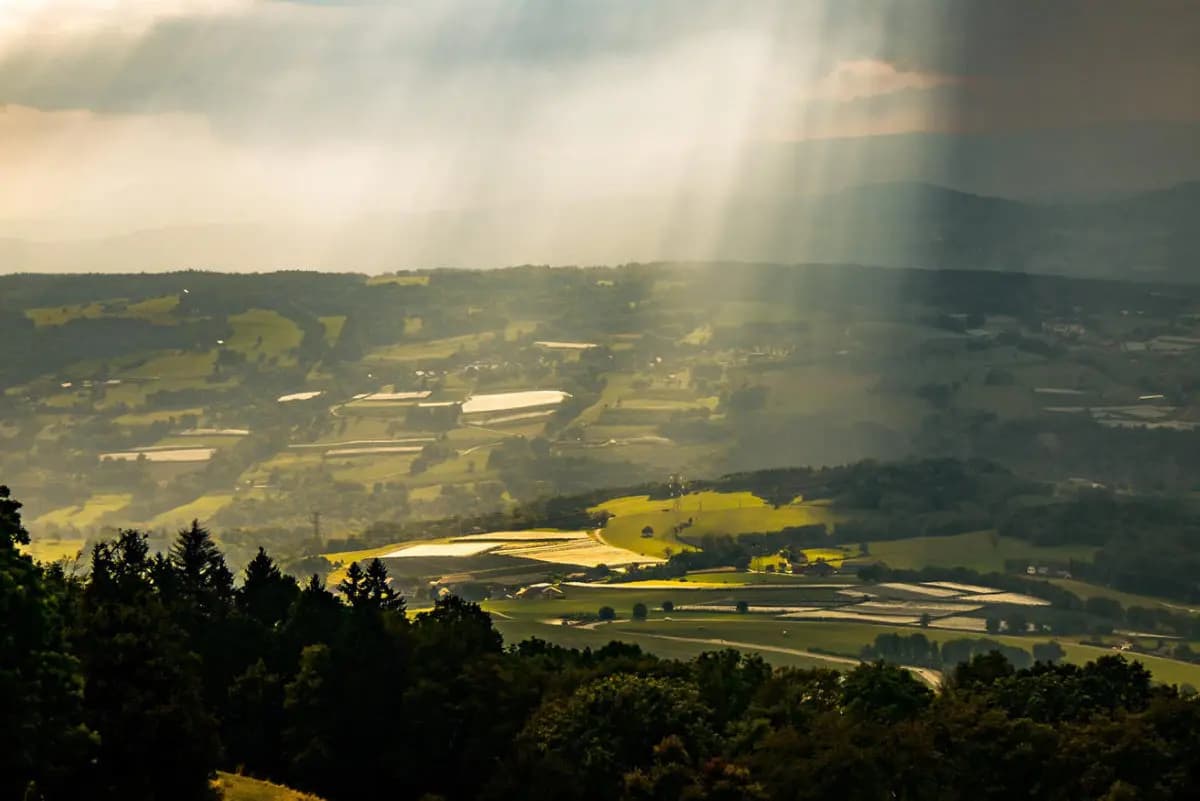 Photo by Andras Barta