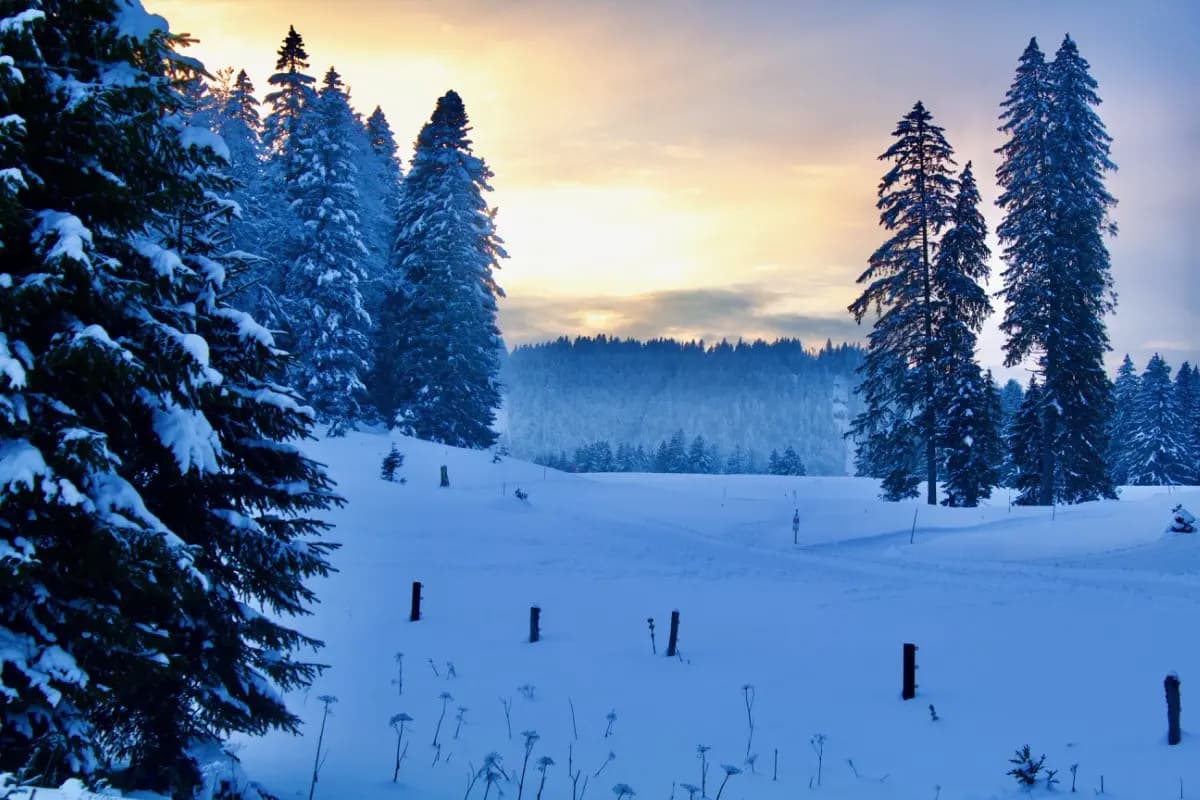 Photo by Catherine Lewis