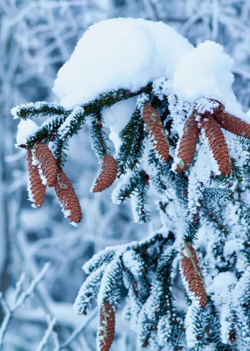 Photo by Catherine Lewis