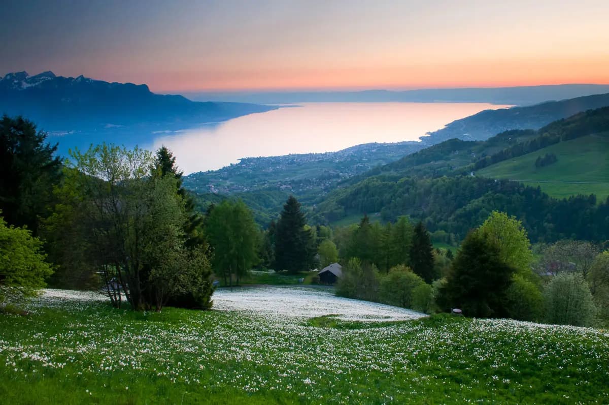 LANDSCHAFTEN + NATUR