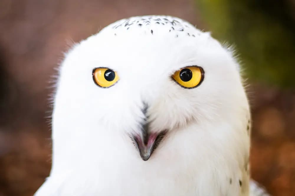 Photo by Samantha Keller