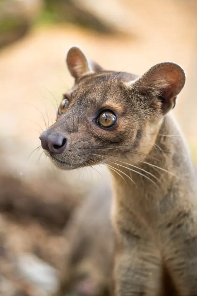 Photo by Samantha Keller