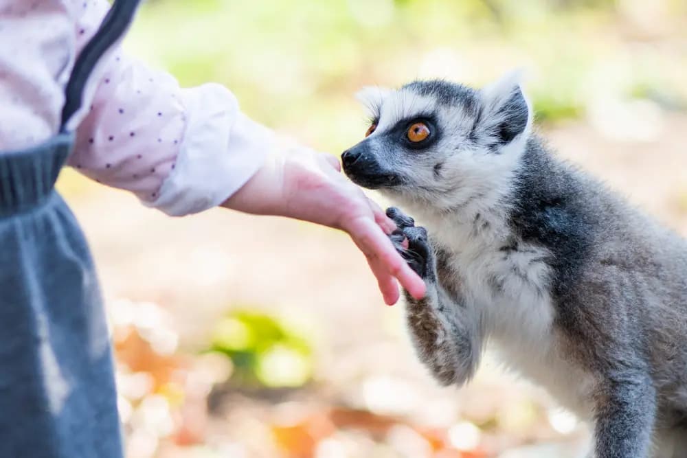 Photo by Samantha Keller