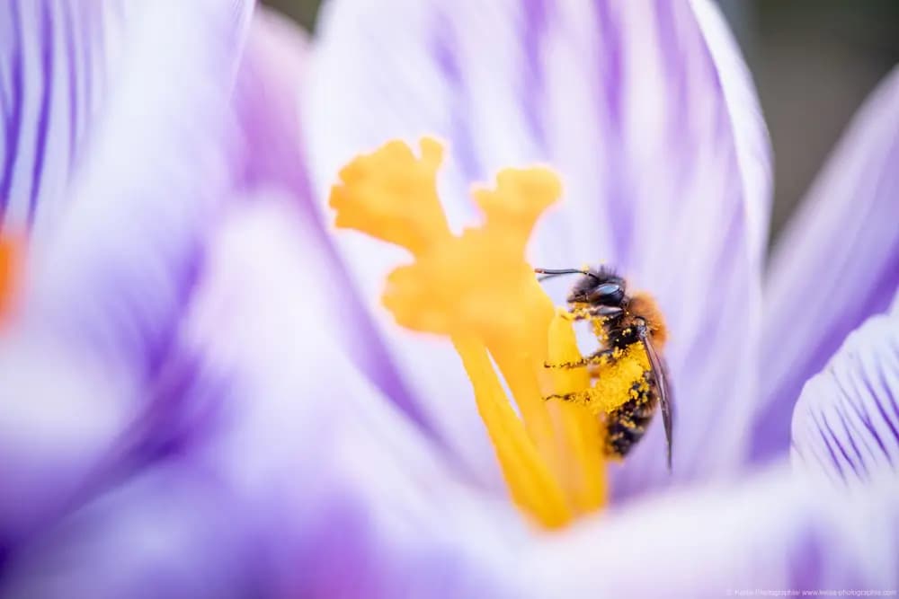 Photo by Samantha Keller