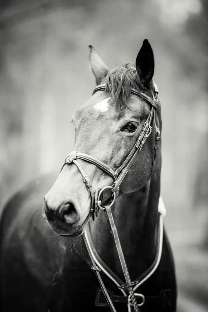 Photo by Samantha Keller