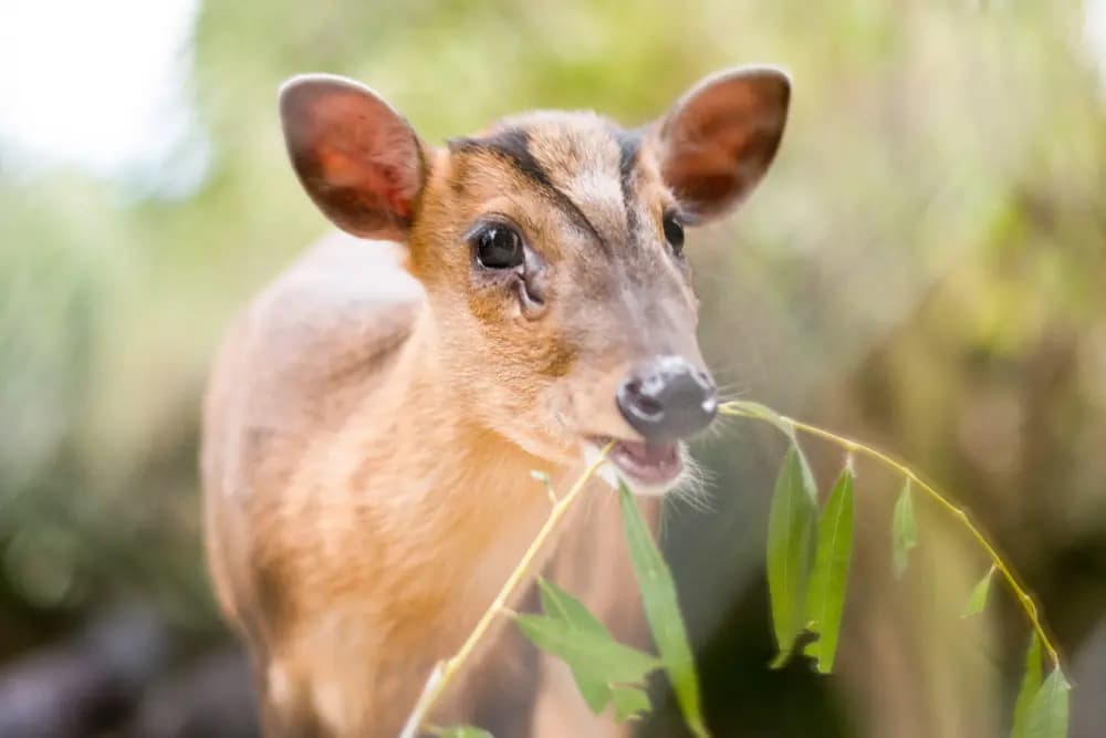 Photo by Samantha Keller