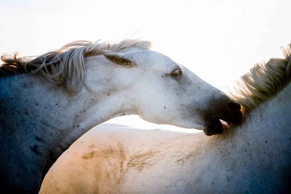 Photo by Samantha Keller