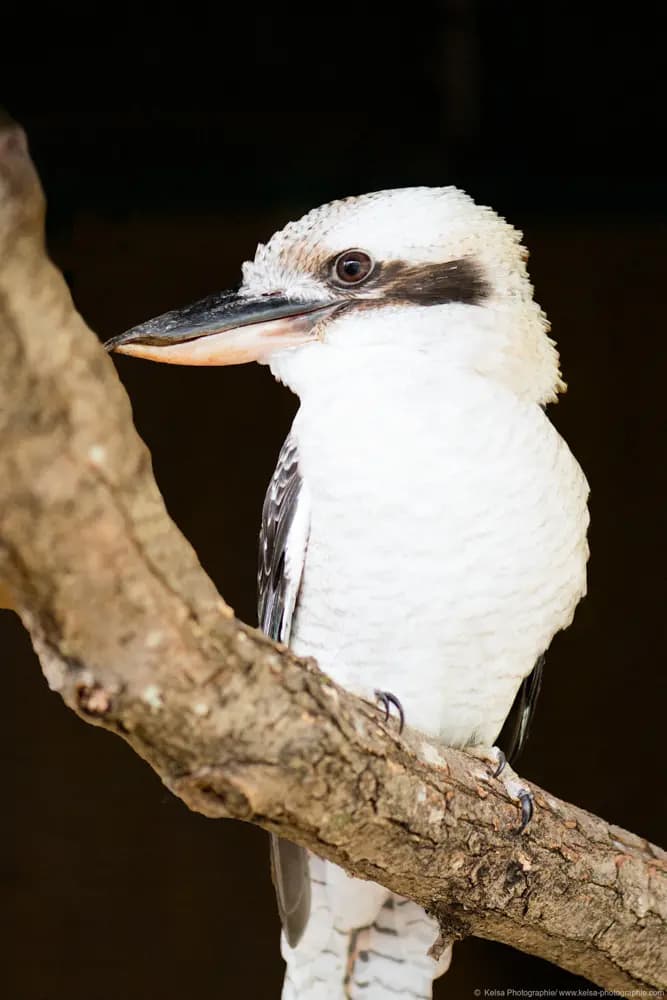 Photo by Samantha Keller