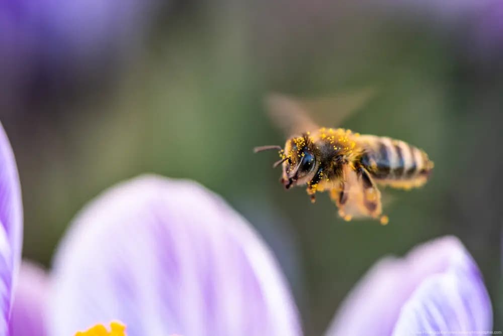 Photo by Samantha Keller