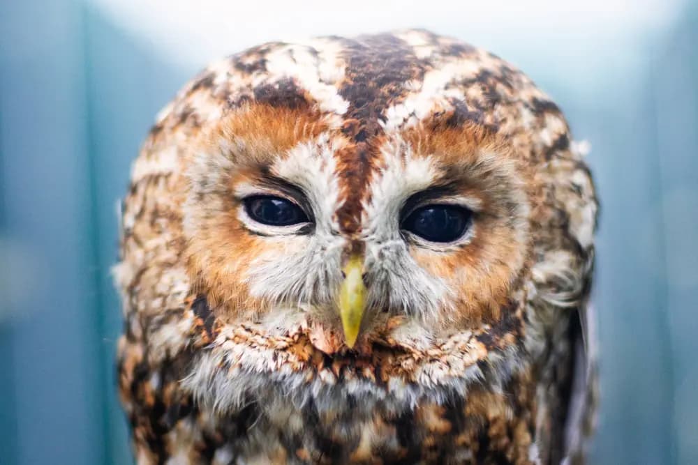 Photo by Samantha Keller