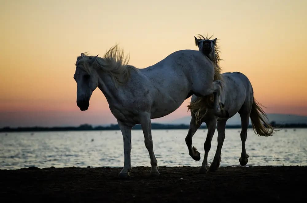 Photo by Samantha Keller