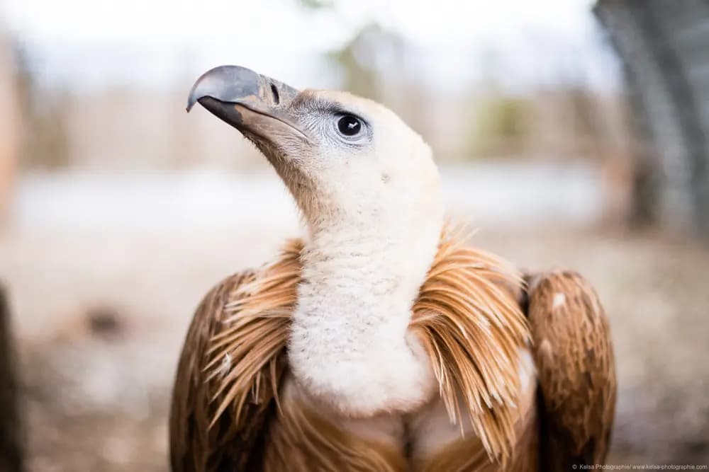 Photo by Samantha Keller